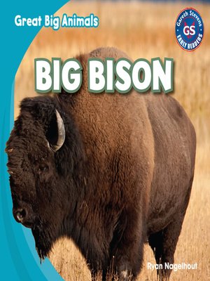 Big Bison - ebook